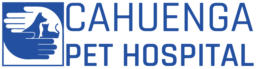 Cahuenga Pet Hospital